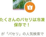 たくさんのパセリは冷凍保存で！作り方8写真