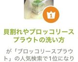 ブロッコリースプラウトの洗い方と保存作り方4写真