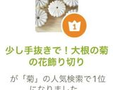 少し手抜きで!大根の菊の花飾り切り作り方11写真
