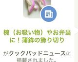 椀（お吸い物）やお弁当に！蒲鉾の飾り切り作り方7写真