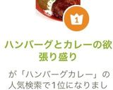 ハンバーグとカレーの欲張り盛り作り方5写真