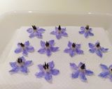 ボリジの花の砂糖漬け❁作り方5写真