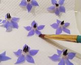 ボリジの花の砂糖漬け❁作り方4写真