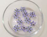 ボリジの花の砂糖漬け❁作り方2写真