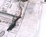 さんまのおろし方　3枚おろし✤筒切り作り方6写真