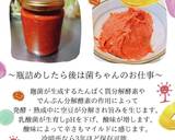 簡単！季節野菜で発酵調味料　豆板醬作り方3写真
