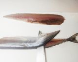 さんまのおろし方　3枚おろし✤筒切り作り方9写真