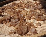 茹でるだけ簡単キクラゲのサラダ作り方11写真