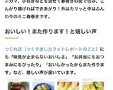 簡単おつまみ★はんぺん春巻き★お弁当にも作り方18写真