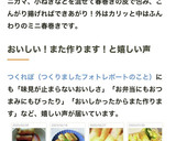 簡単おつまみ★はんぺん春巻き★お弁当にも作り方18写真
