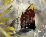 絶品ソース☆ BBQ味の骨付き鶏もも焼き作り方1写真