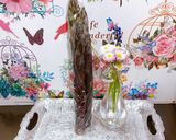 ✨アスパラの保存✨作り方1写真