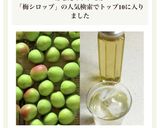 ★簡単!梅シロップ作り方11写真