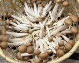 冷凍きのこのピクルス(ぶなしめじ)作り方1写真