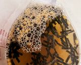 鯛の漬けを乗っけて食べる　だし茶漬け作り方10写真