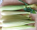 ヤングコーンの茹で方　ヒゲも食べます作り方6写真