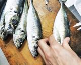 母の味。アジフライ作り方1写真