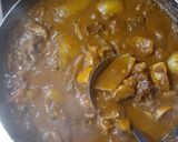 牛カルビ鶏もも肉スパイスカレー作り方17写真