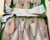 釣って来たフグの身皮を引く作り方1写真