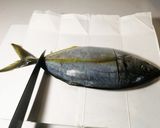 鯵の姿盛り（シマアジ）作り方3写真