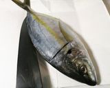 鯵の姿盛り（シマアジ）作り方4写真