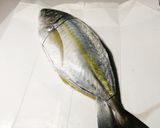 鯵の姿盛り（シマアジ）作り方5写真