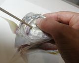 鯵の姿盛り（シマアジ）作り方18写真