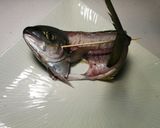 鯵の姿盛り（シマアジ）作り方19写真