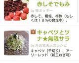 キャベツとツナ★無限サラダ★赤しそ風味作り方5写真