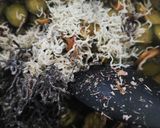 写真付き きゅうり大量消費 キューちゃん作り方7写真