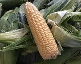 とうもろこしの剥き方、食べ方作り方27写真
