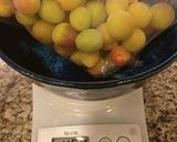 カリカリ小梅作り方8写真
