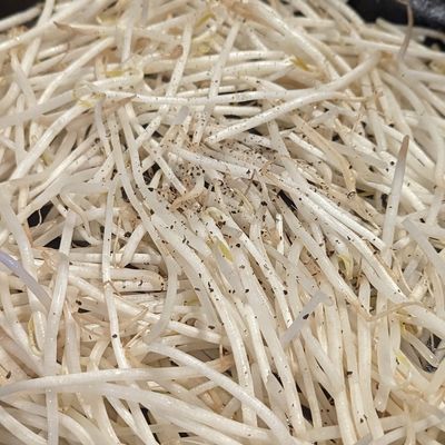 もやし炒め(2023/4/1) by クックOSH8GQ☆ 【クックパッド】 簡単