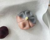 レンジで簡単！練り切り作り方13写真