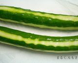 昆布茶で♪冷たい～きゅうりの1本漬け作り方1写真