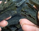 【出汁粉】きめ細かな昆布パウダー作り方4写真
