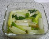 長ねぎのマスタードマリネ作り方3写真