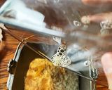フルーツ食パン　パネトーネ作り方4写真