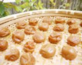 梅講師直伝㊹干さない低塩梅干し（梅漬け）作り方12写真