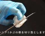 にんにくのホイル焼作り方1写真