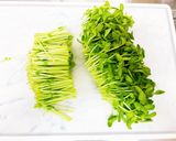 豆苗生サラダ作り方2写真