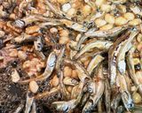 青さ香る大豆小魚ナッツ老若男女毎日骨元気作り方7写真
