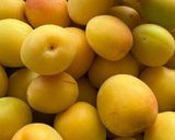 爽やかな酸味の 南高梅のジャム作り方1写真