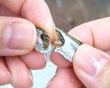 【出汁粉】きめ細かな煮干しパウダー作り方1写真