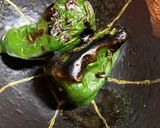 ピーマン好き必見　焼きピーマン作り方1写真