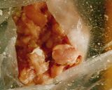 アスパラと鶏ささみの塩麹焼き作り方2写真