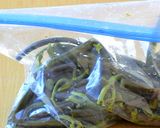 わらびの味噌たたき－2023－作り方2写真