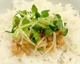 カイワレ納豆作り方17写真