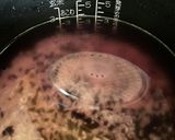 炊飯器で通常炊き☆古代米(黒米)ごはん作り方2写真