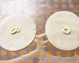 白身魚のもろみ漬け餃子風作り方11写真